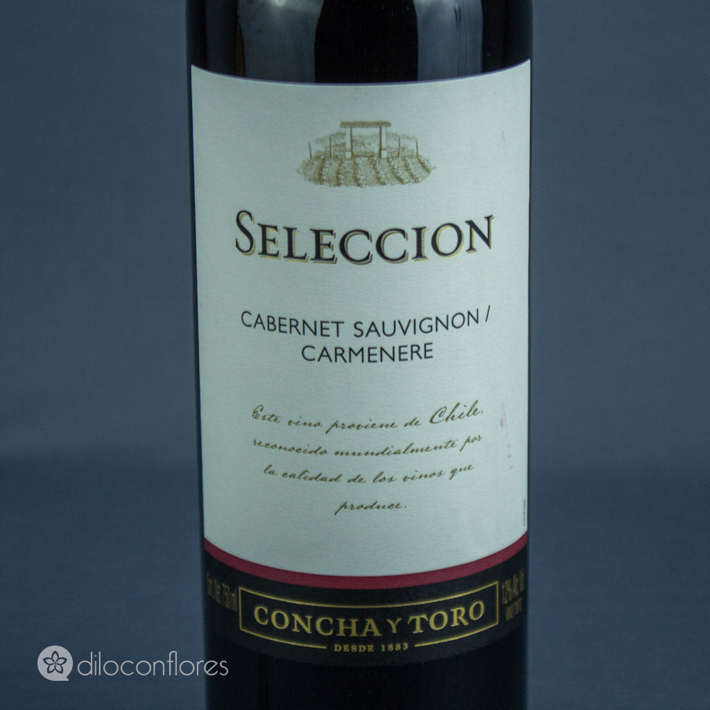 Vino tinto Cabernet Sauvignon / Carmenere