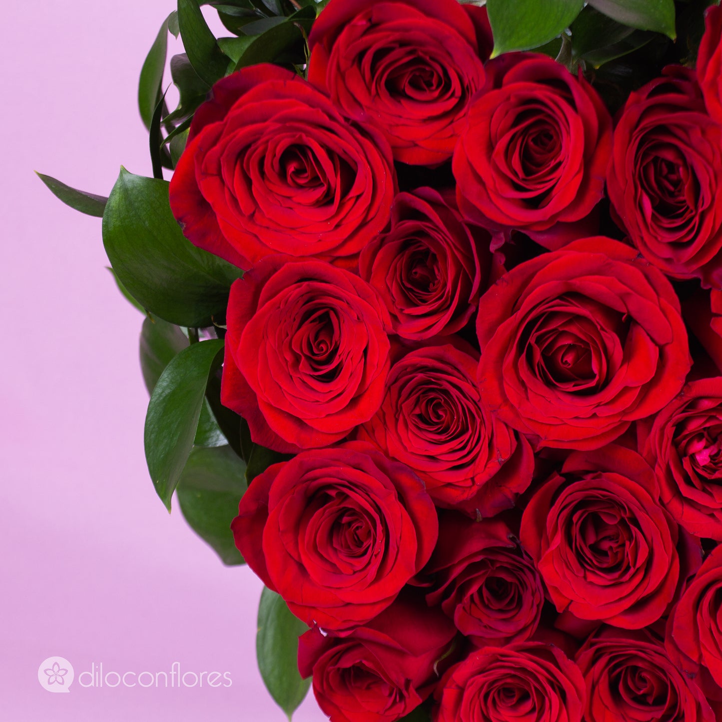 Regalo del Corazón