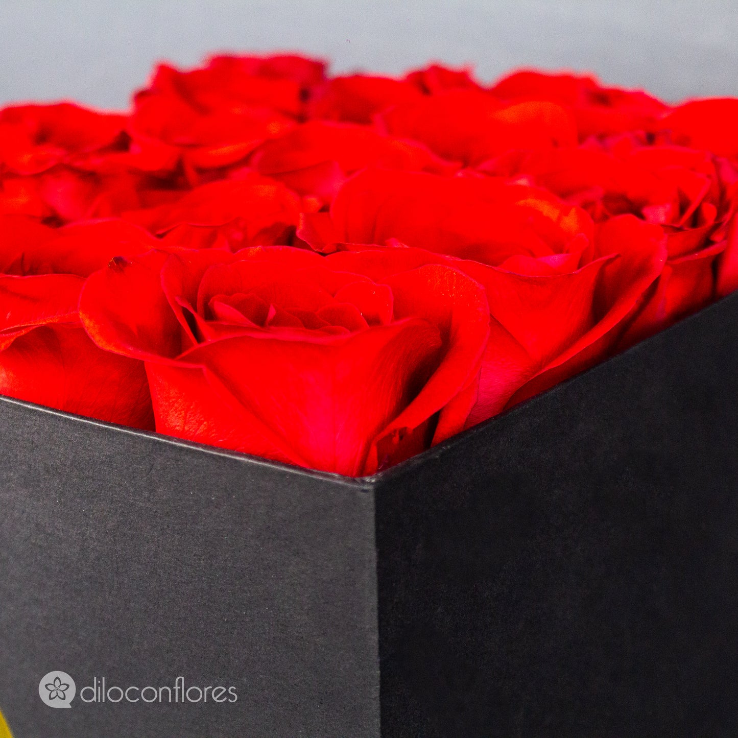 Caja de rosas rojas