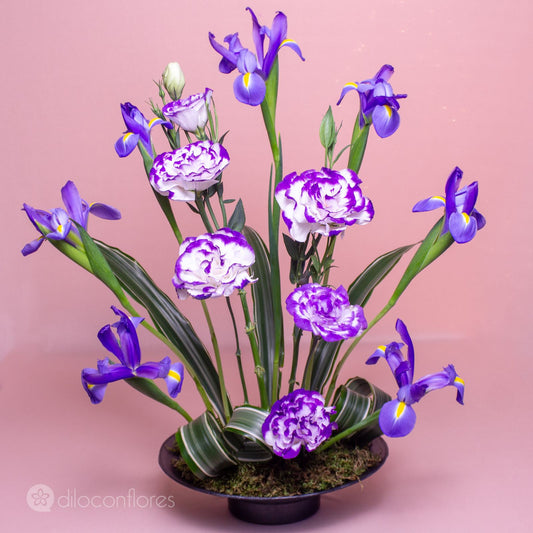 Purple Sweet