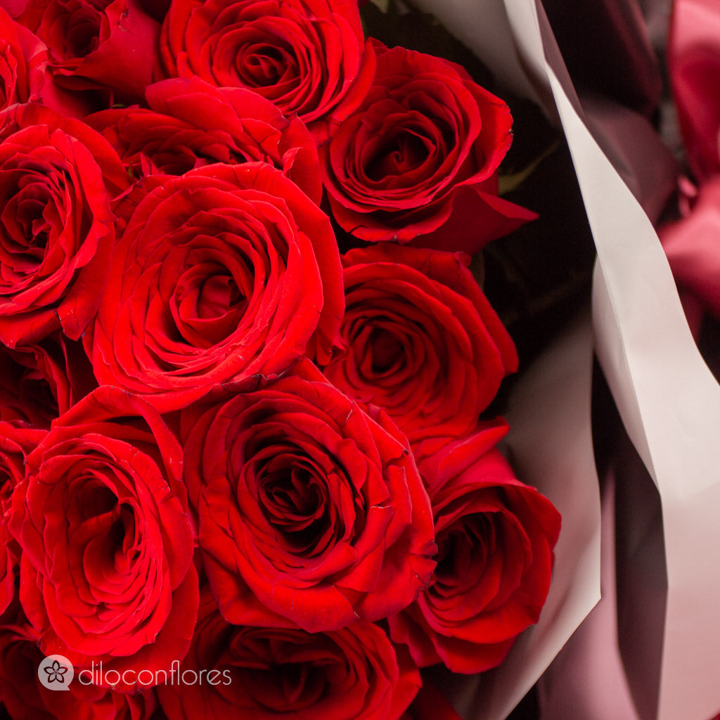 Bouquet de 48 rosas rojas – enamorarte-mty