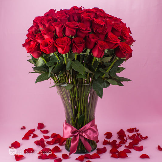 Belleza al cien [100 rosas]