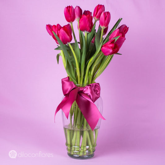 Hermosa Caricia Rosa