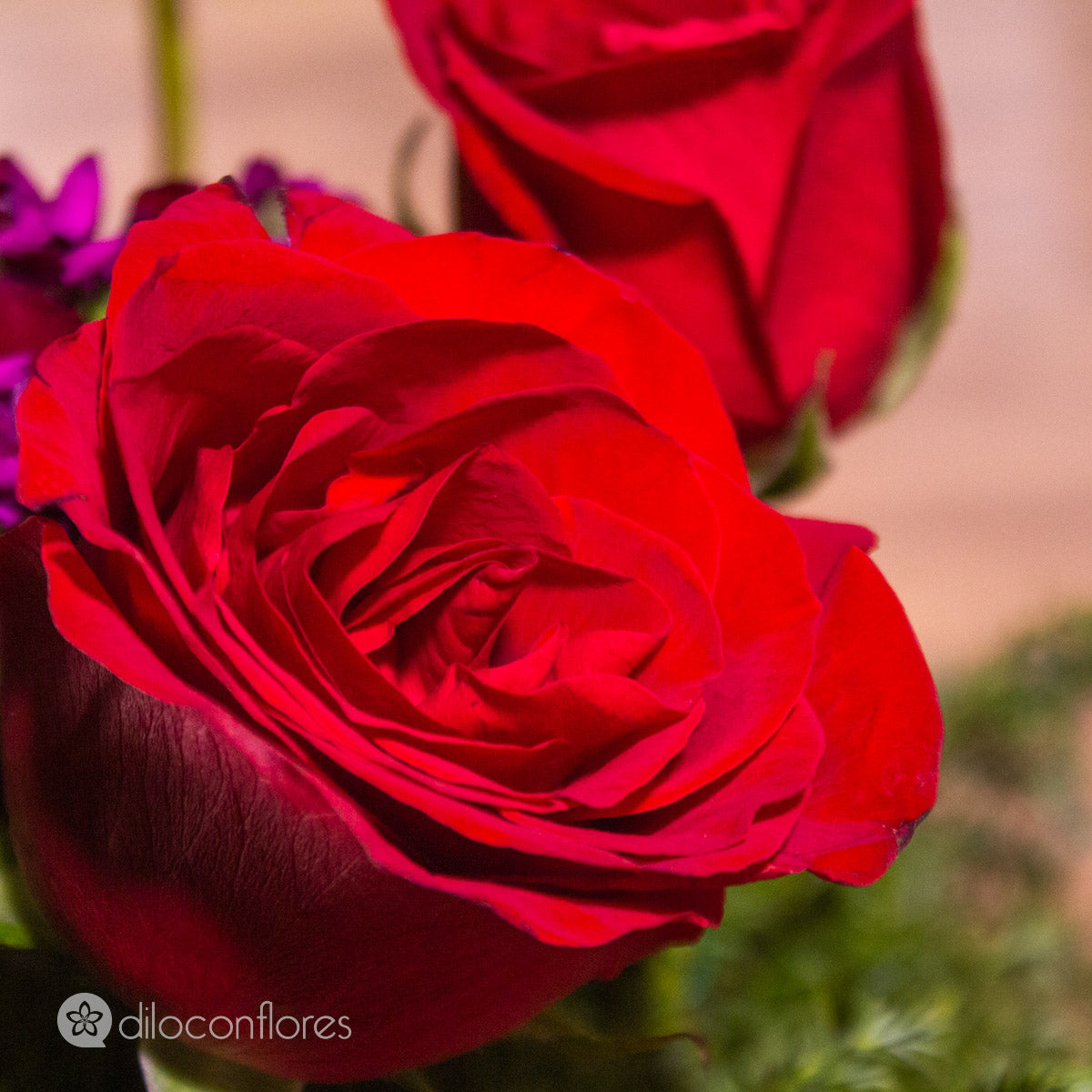 Taza con rosas