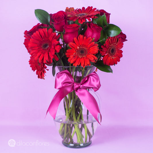 Pasión Radiante [12 Rosas y 10 Gerberas rojas]
